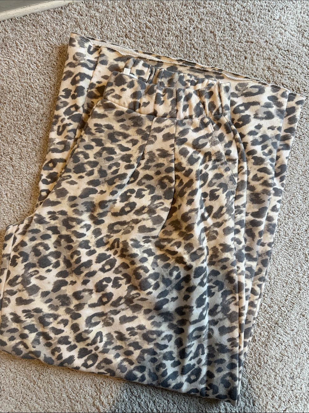 Aerie Trouser Leopard Print Pants